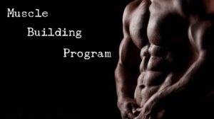 Muscle buiding