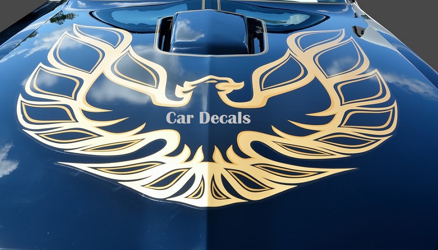 download car decal creator