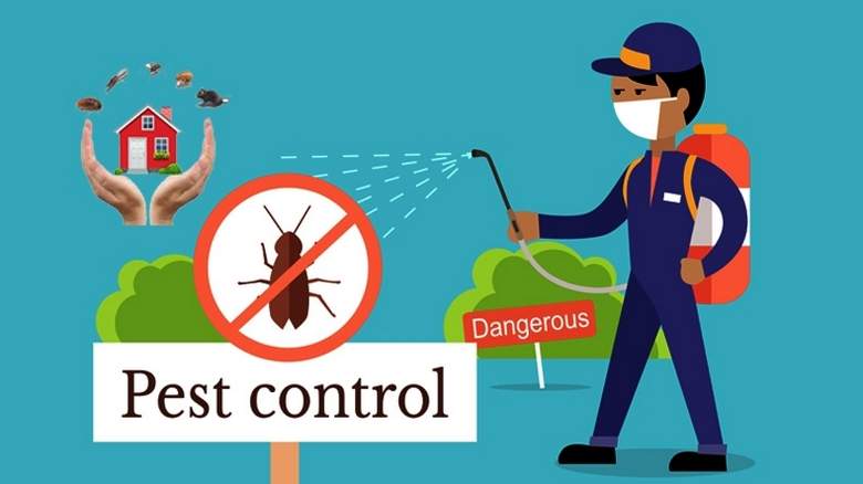 Pest Control Tips