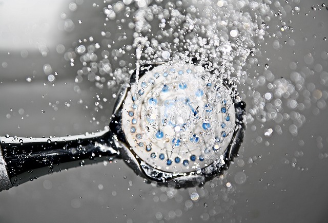 handheld shower head