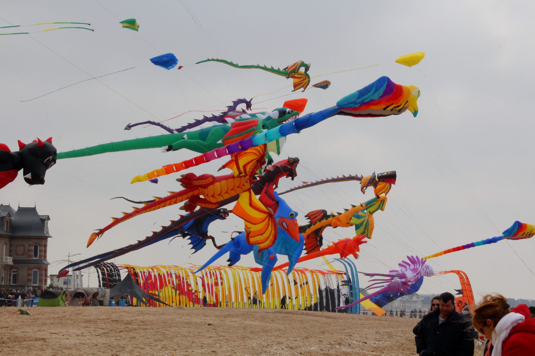 Kite Festival in Delhi