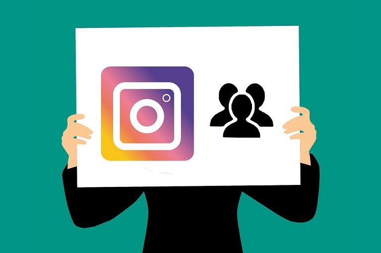 Instagram Profile growth