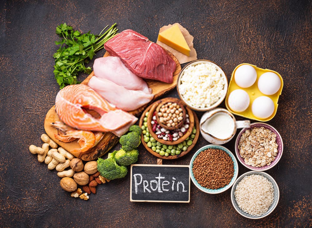 Protein-Rich Foods