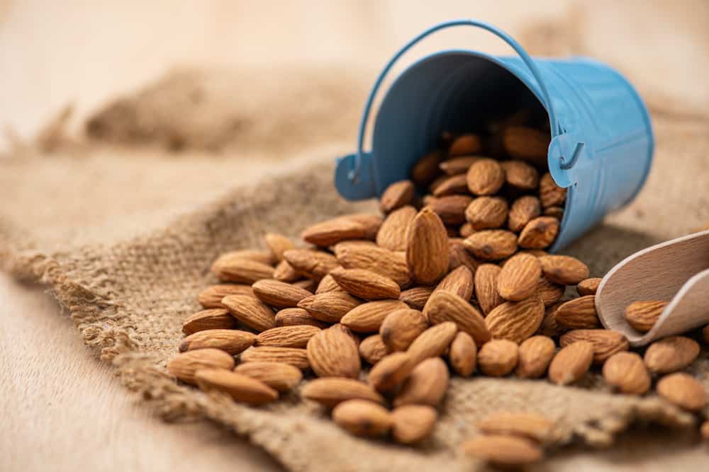 Almonds – Make Your Weight Loss Journey Easier