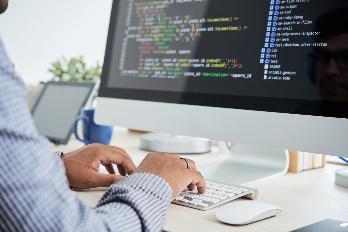 Get the Best out of Your Software Developer