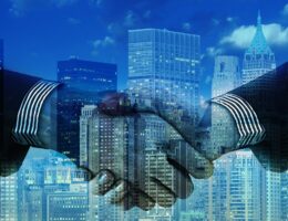 Sustainability Consulting Firm