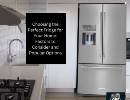 Choosing the Perfect Fridge for Your Home: Factors to Consider and Popular Options