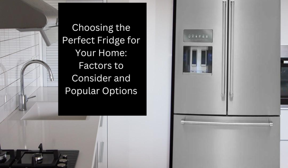 Choosing the Perfect Fridge for Your Home: Factors to Consider and Popular Options