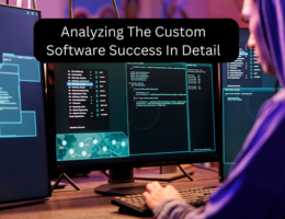 Analyzing The Custom Software Success In Detail