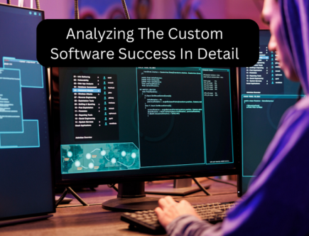 Analyzing The Custom Software Success In Detail