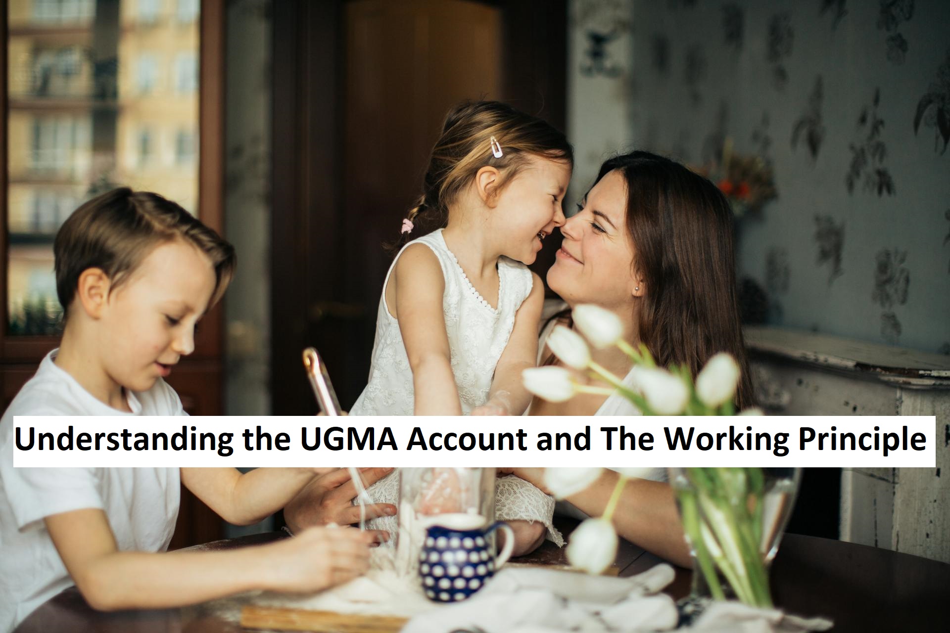 Understanding the UGMA Account and The Working Principle