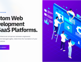 Custom Web Development vs SaaS Platforms